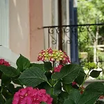Отель Archontiko Naoumidi