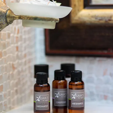 ホテル Archontiko Naoumidi