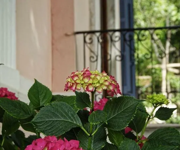 酒店 阿肯提克纳欧米迪酒店